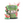 KXR® OG High-Stim Pre-Workout